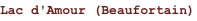 shapeimage_4_link_8